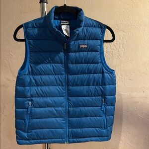 Patagonia Blue Puffer Vest size xl (14)